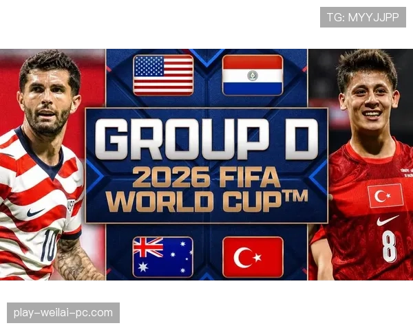 世界杯美国队D组对手世界排名对比